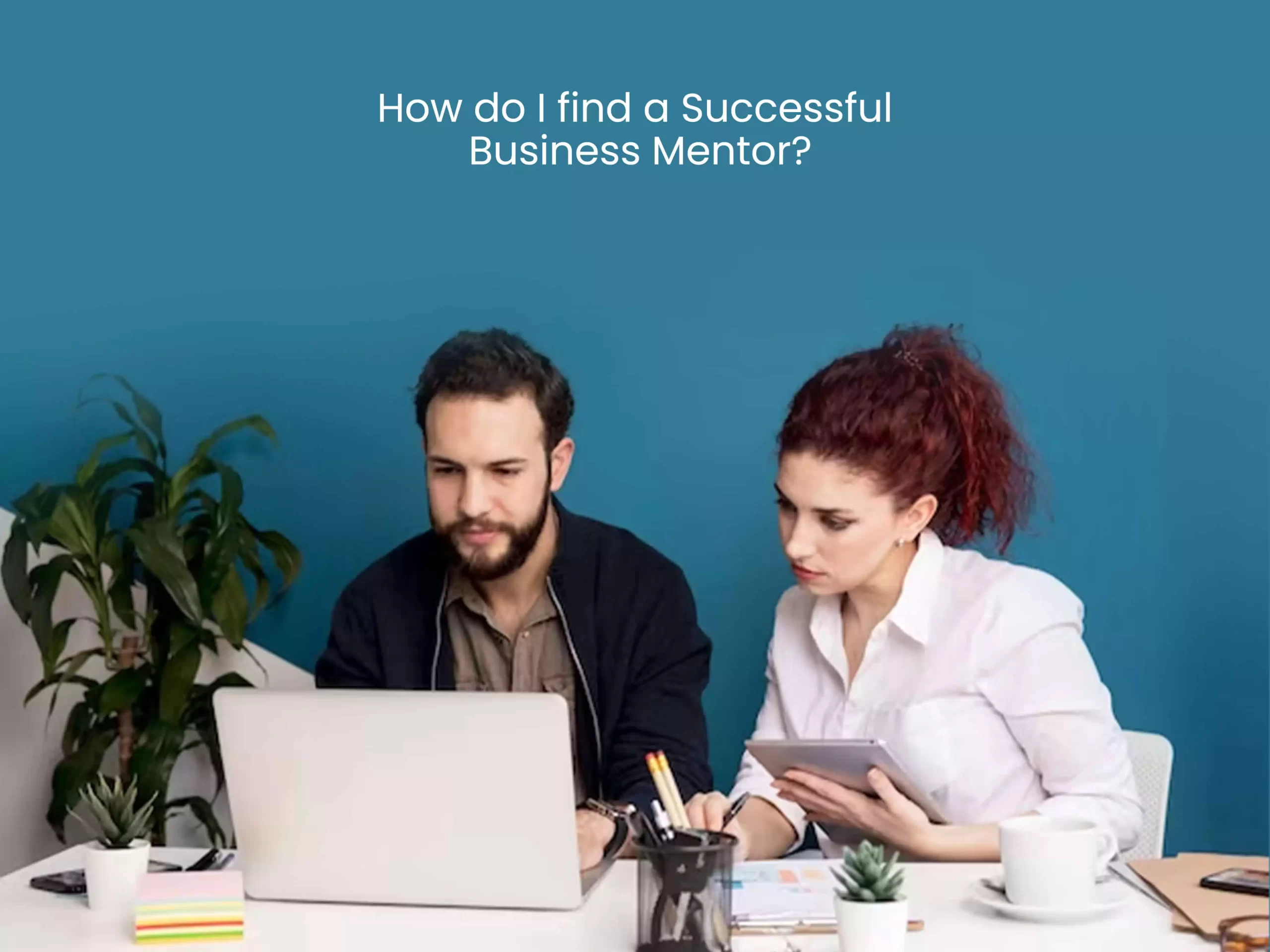 How do I find a successful business mentor?